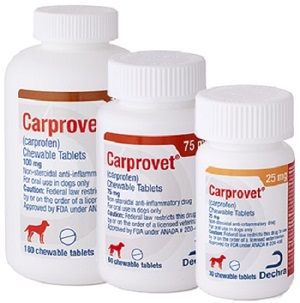 Carprovet Chew Tab - Carprofen