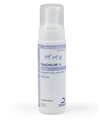 TrizCHLOR 4 Mousse Pump Bottle