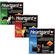 Heartgard Plus Chewables